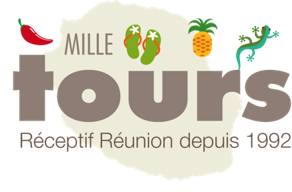 logo agence Milletours